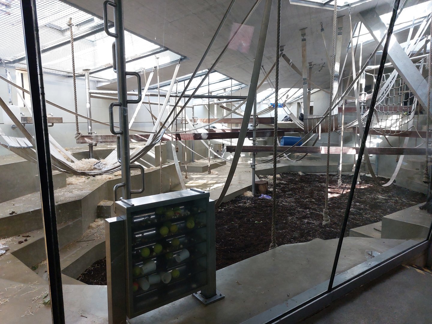 Ape house - 1st gorilla exhibit