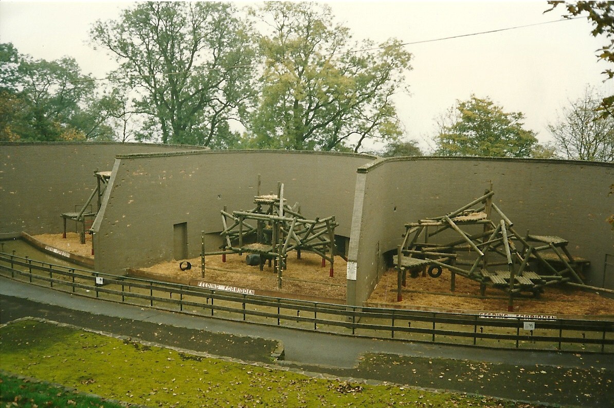 Ape House 1st November 1997