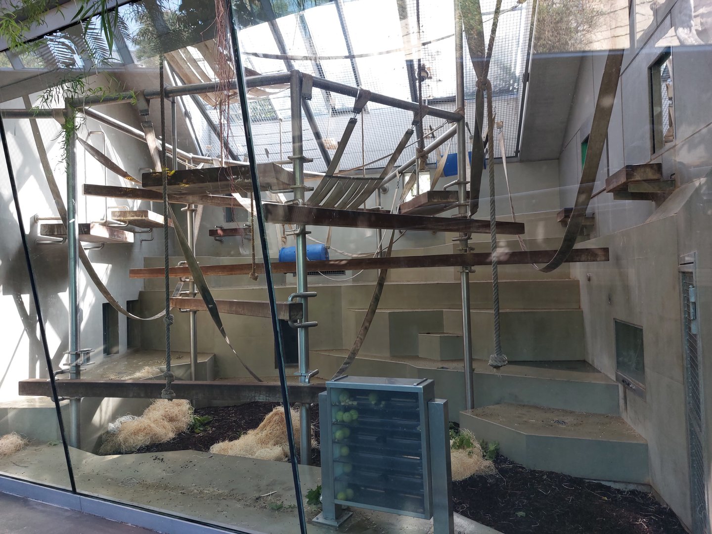 Ape house - 3rd bonobo exhibit