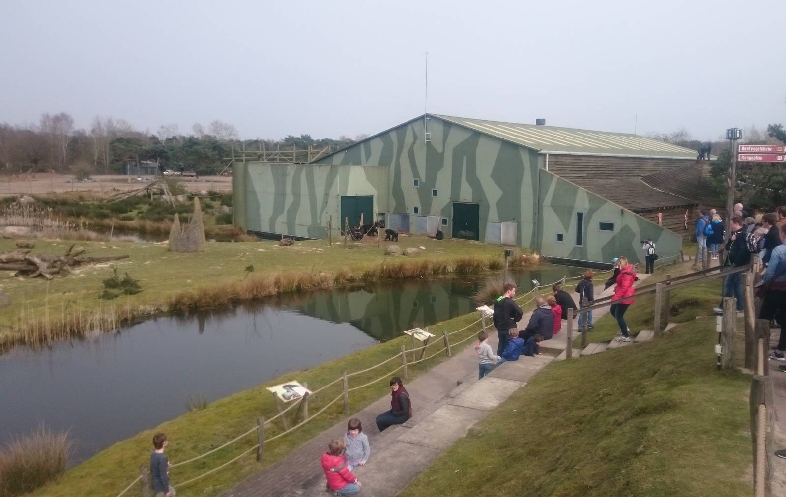 Ape-house and Chimp island