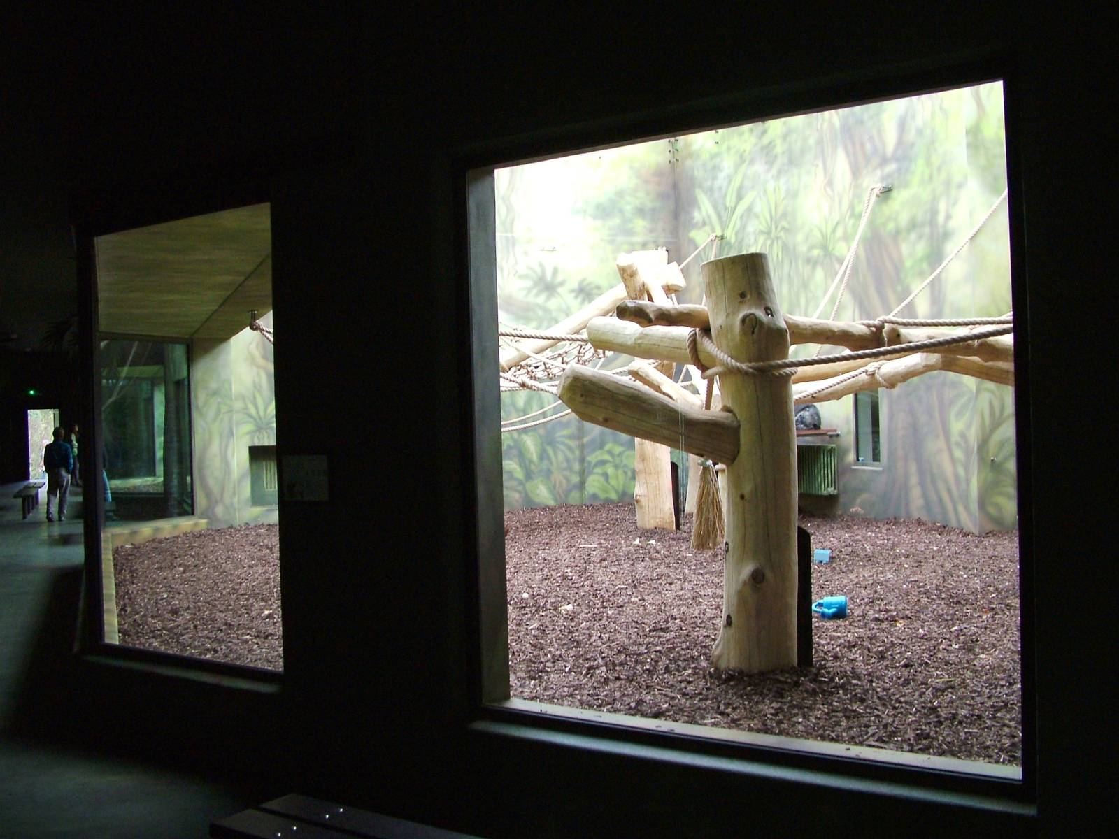 Ape House at Dvur Kralove, 27/08/12