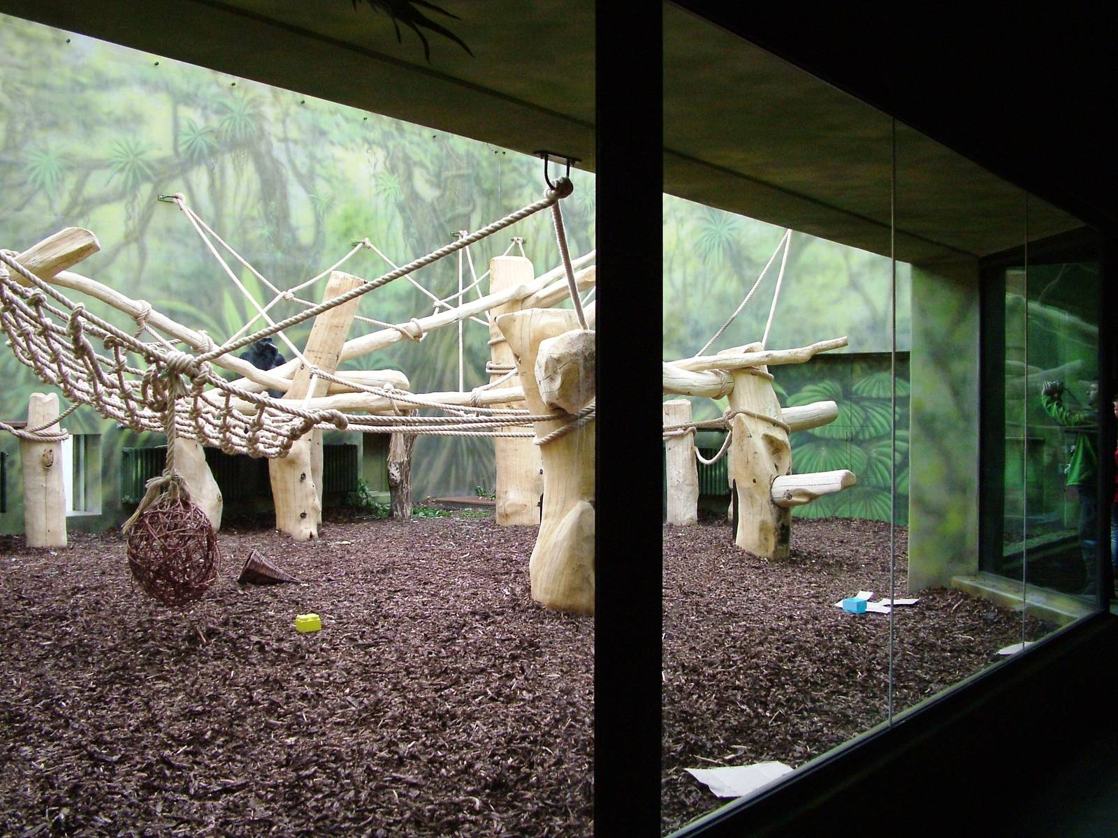 Ape House at Dvur Kralove, 27/08/12