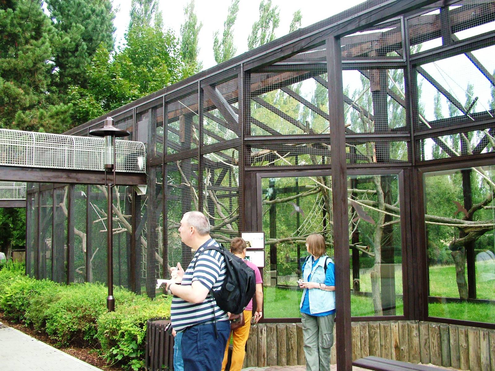 Ape House at Dvur Kralove, 27/08/12