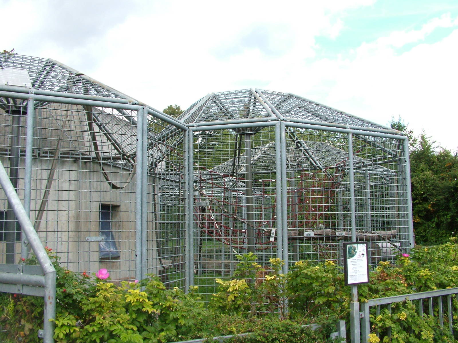 Ape House at Heidelberg, 05/09/10