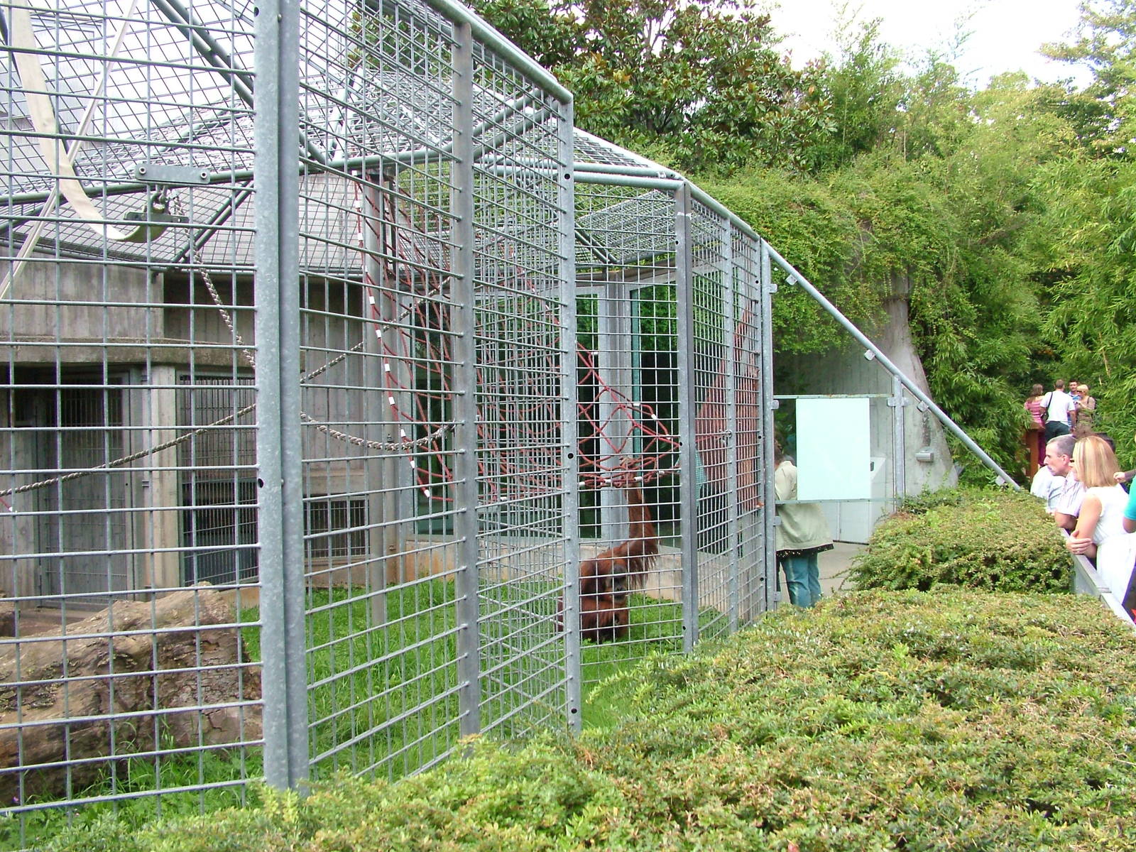 Ape House at Heidelberg, 05/09/10