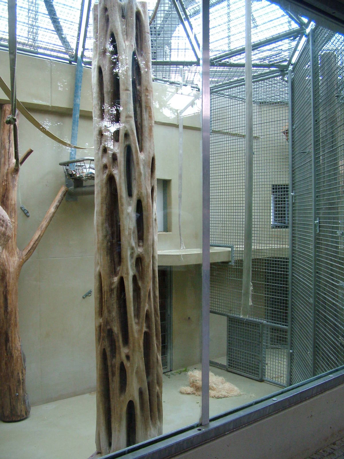 Ape House at Heidelberg, 05/09/10