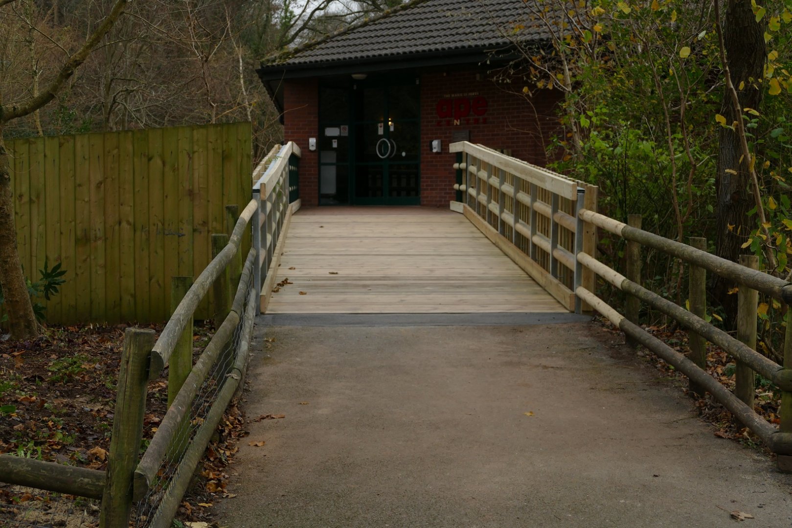 Ape house, December 2021