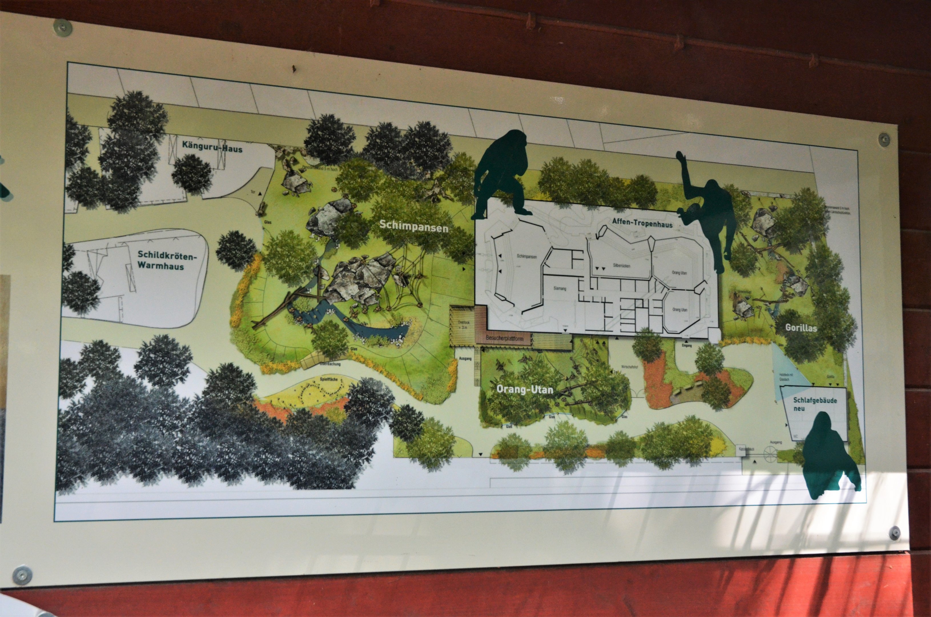 Ape House Future Plans at Krefeld, 15/06/19