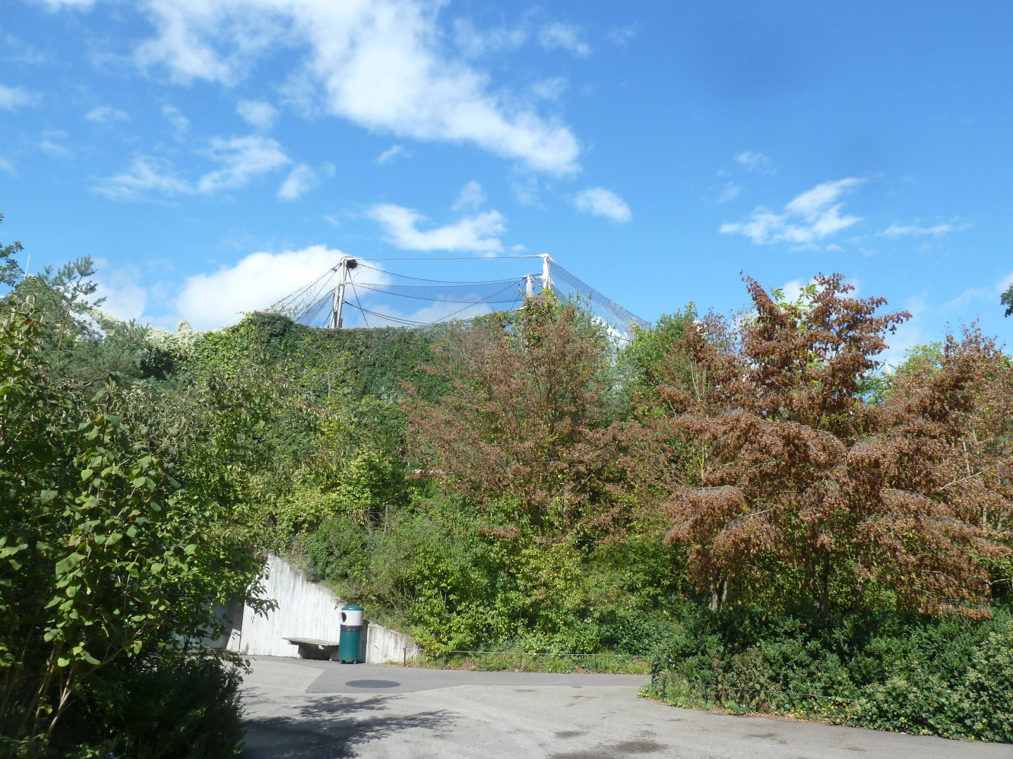 Ape house - Geigy anlage