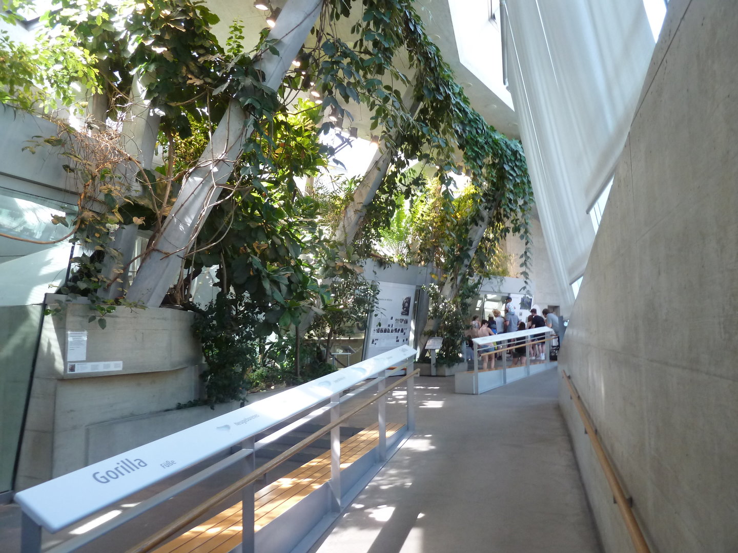 Ape house - General view