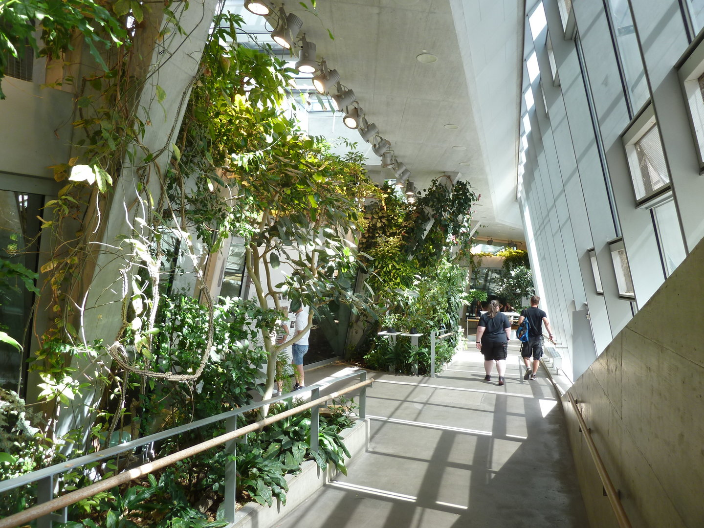 Ape house - General view