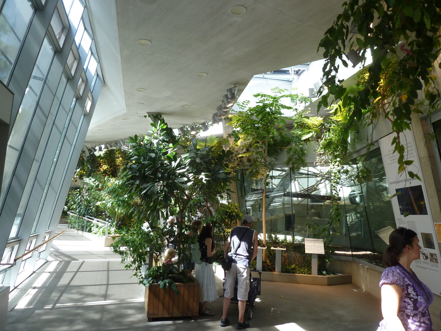 Ape house - General view