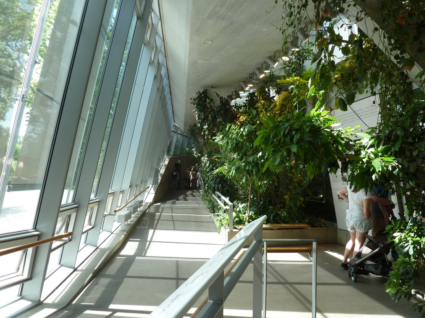 Ape house - General view