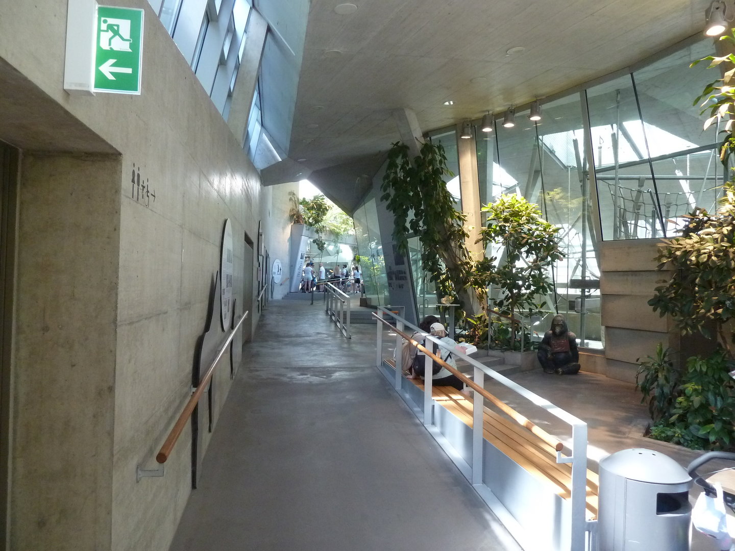 Ape house - General view