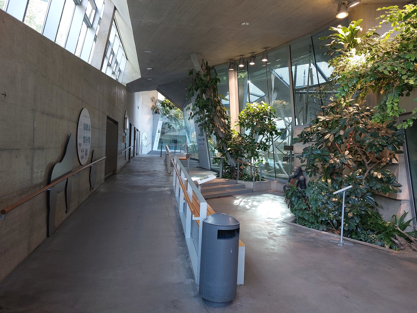 Ape house - Gorilla indoors