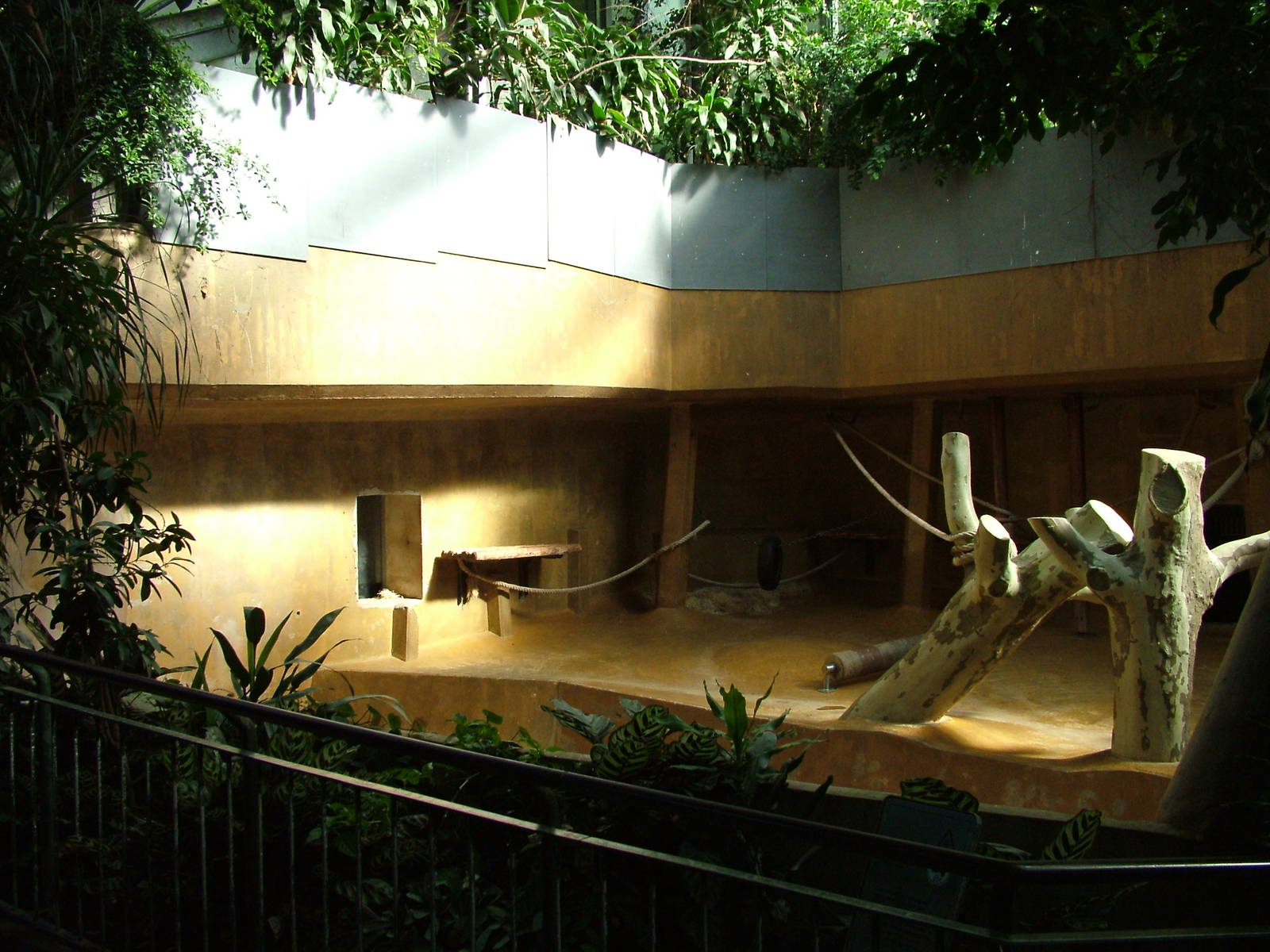 Ape House interior at Hannover Zoo 2007