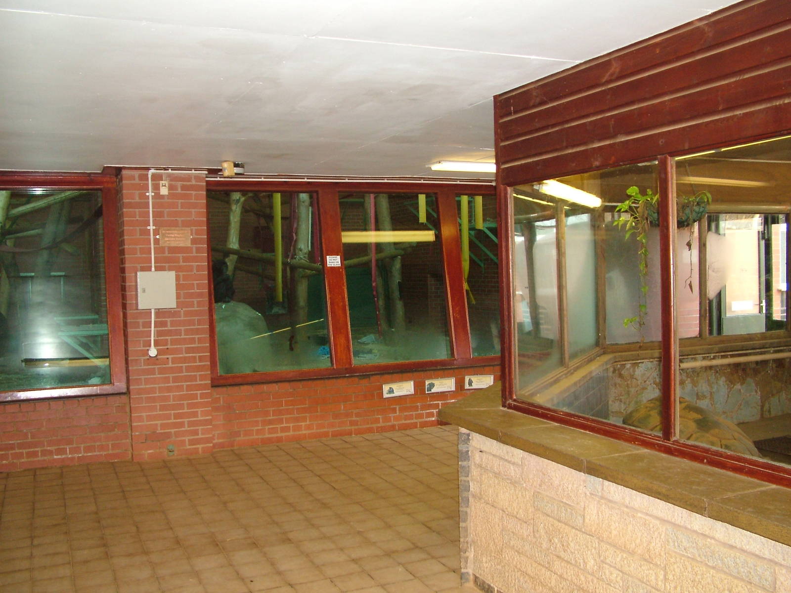 Ape House interior at Twycross 08/11/09