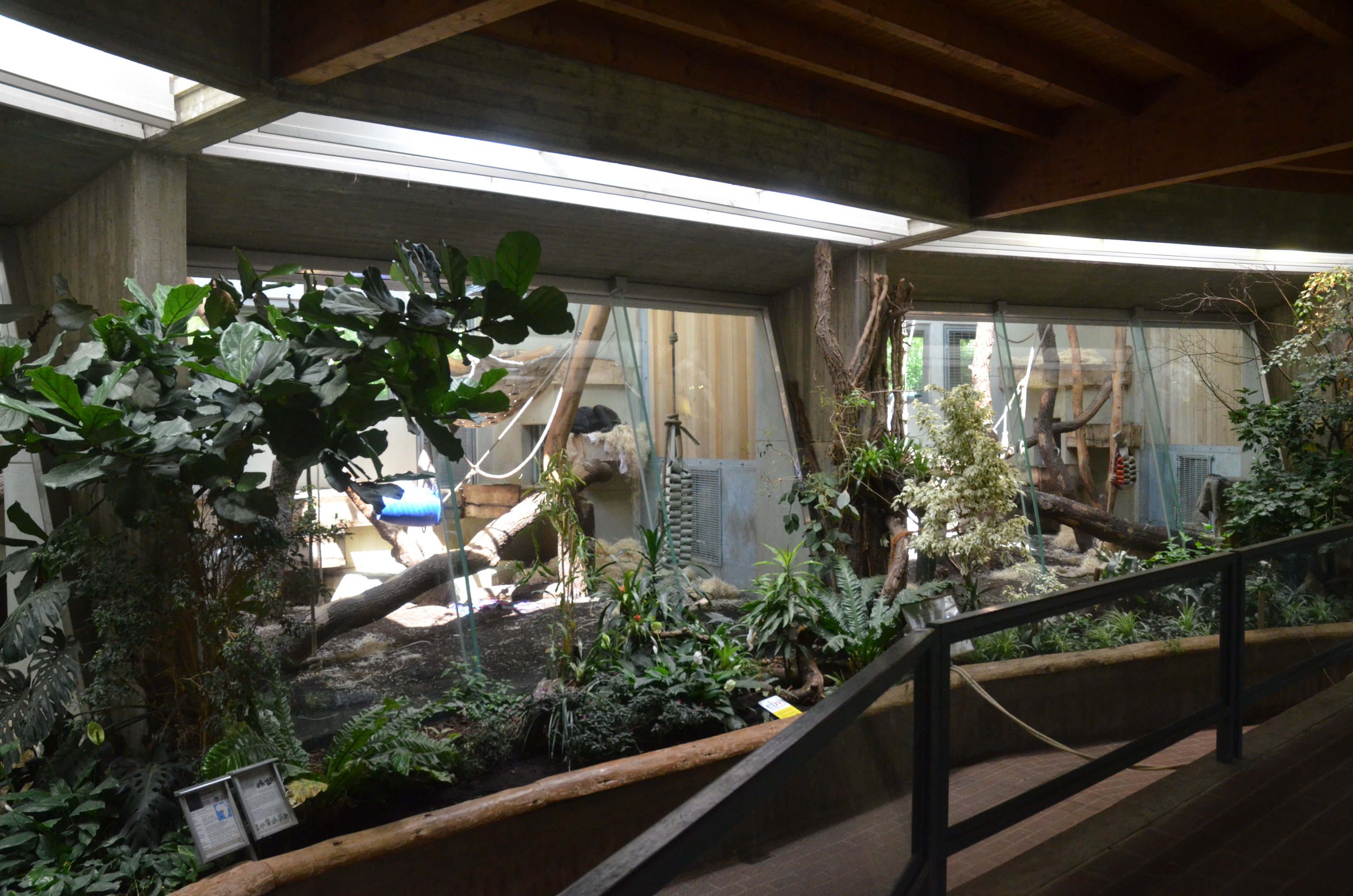 Ape House Interior at Wuppertal, 16/06/19