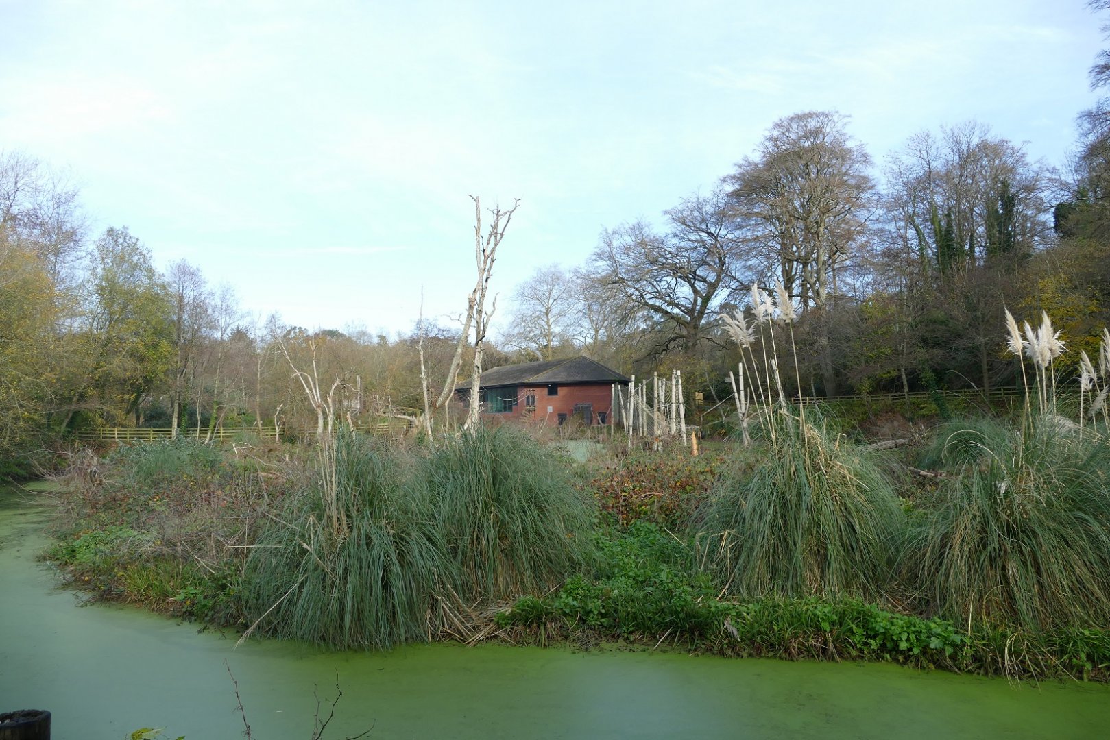 Ape House, November 2018