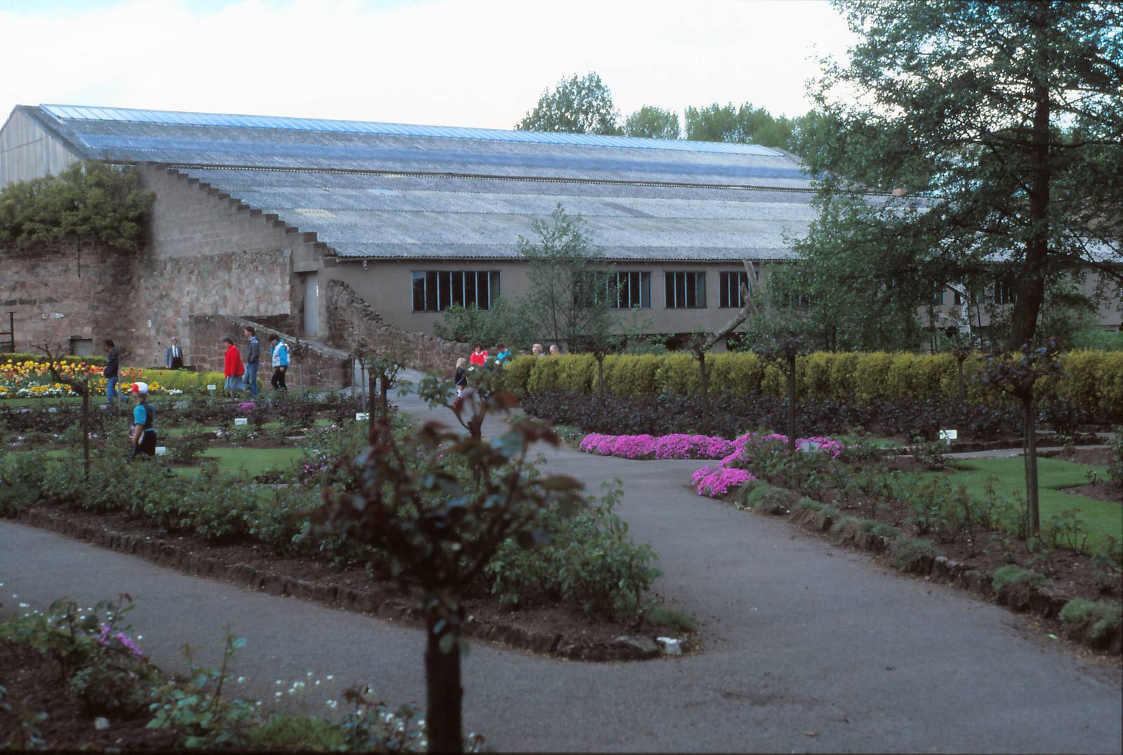 Ape House (Number one) Chester Zoo 1986