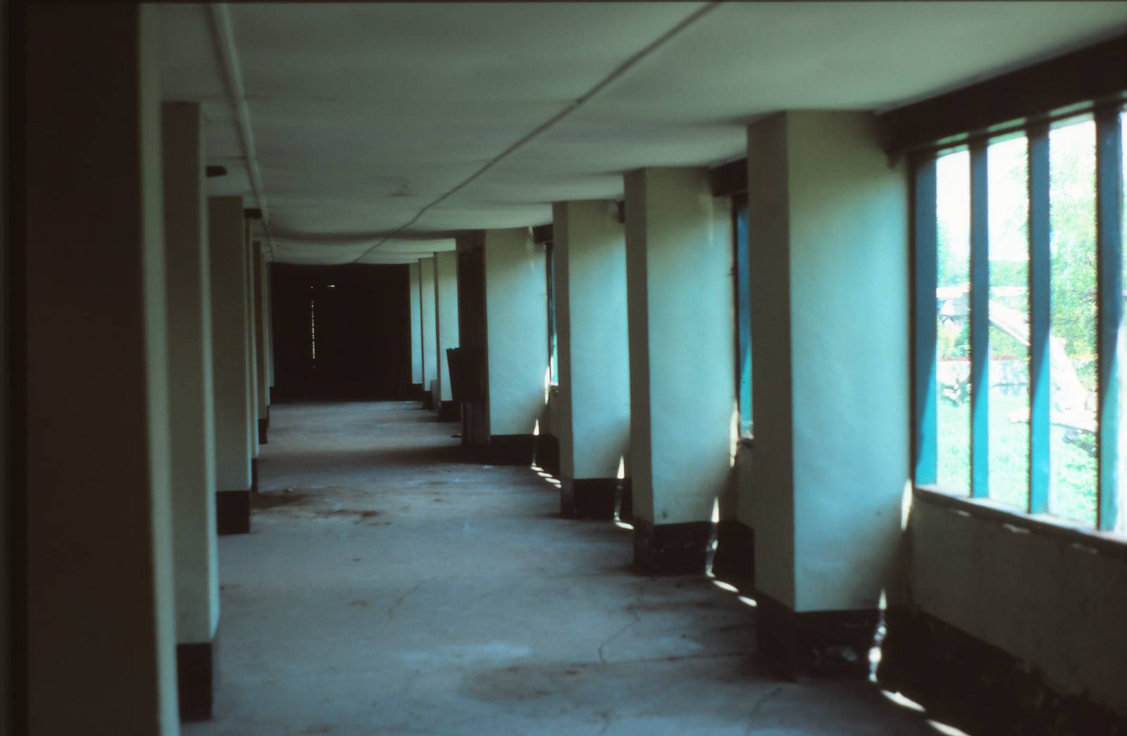 Ape House (Number one) Chester Zoo