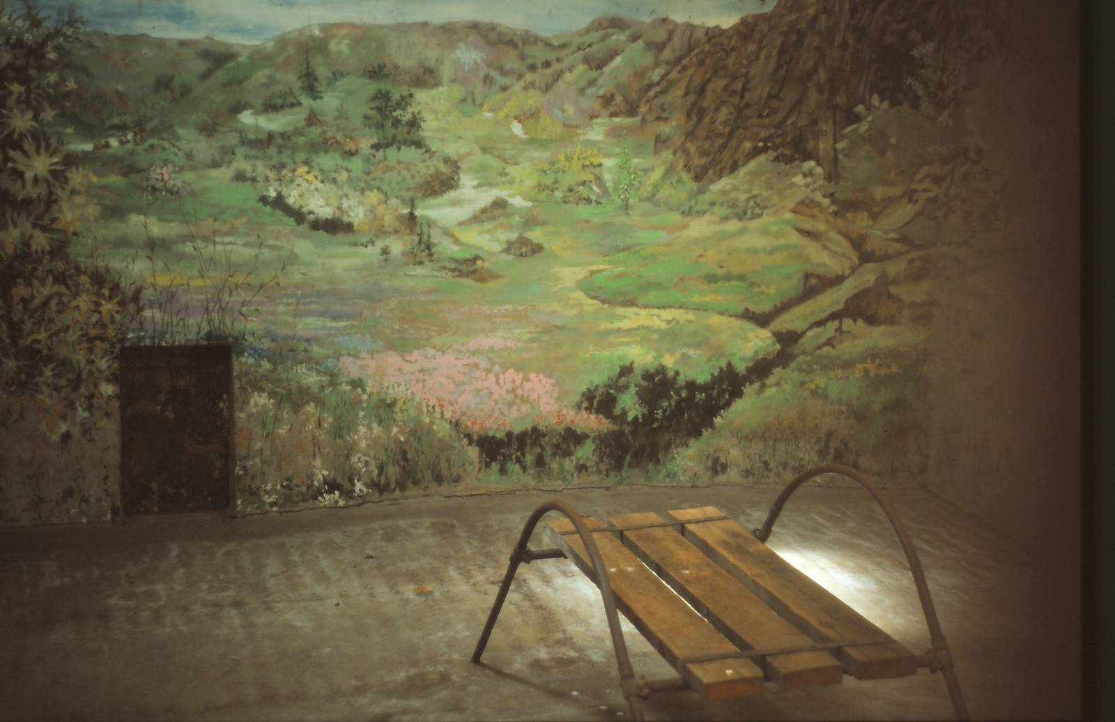 Ape House (Number one) Chester Zoo