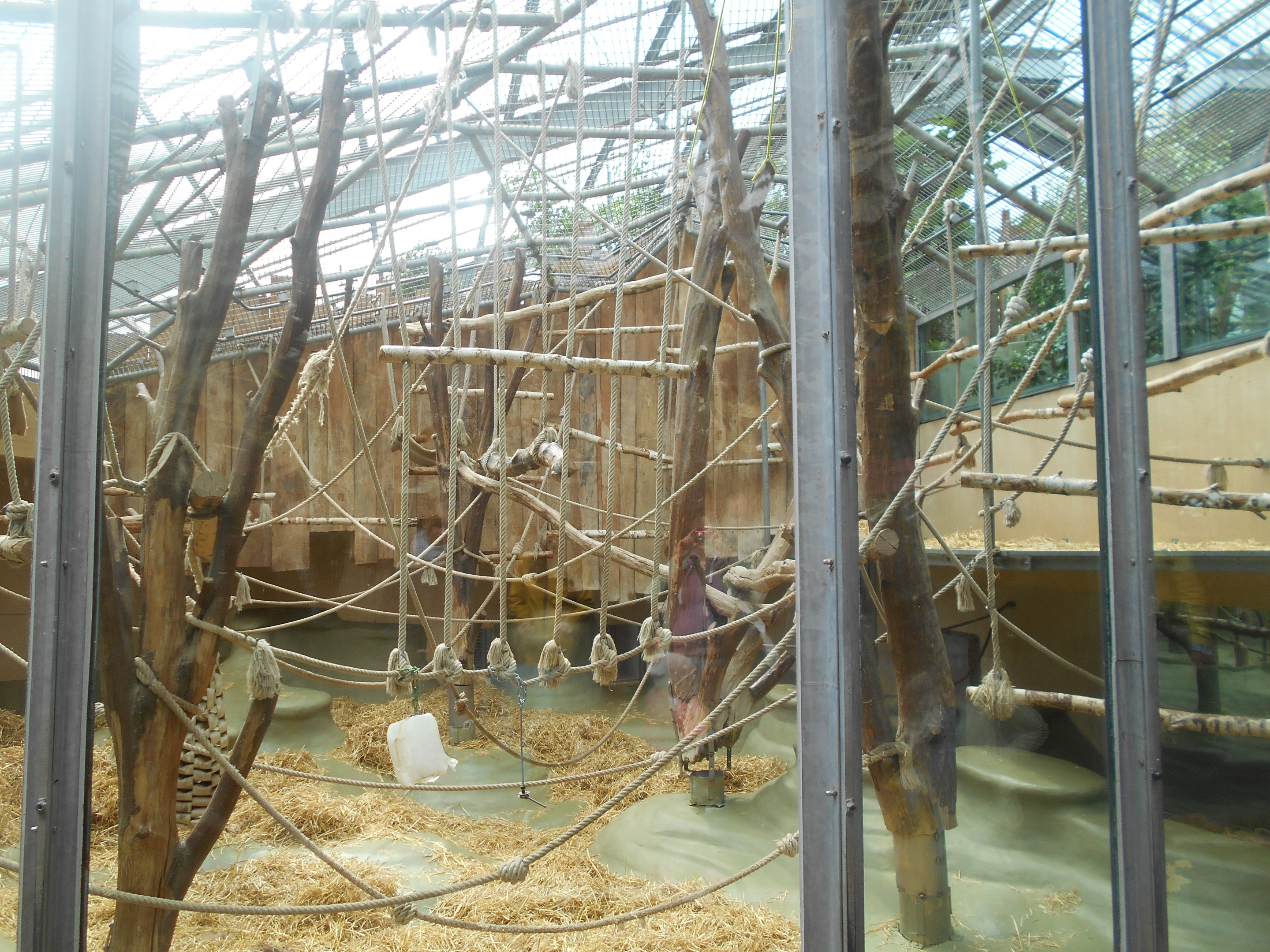 Ape House - Orangutan indoors complex