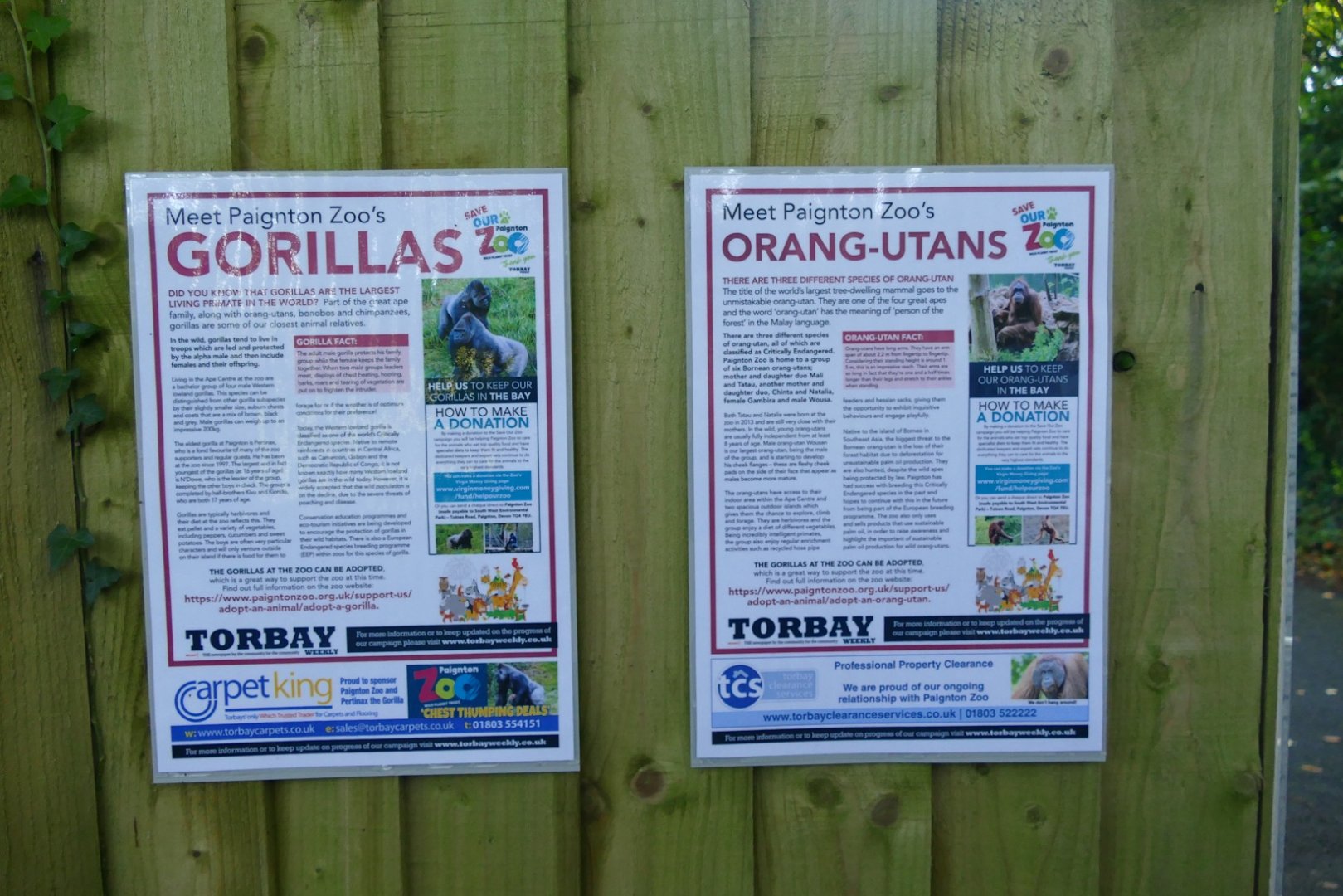 Ape house signage 2020