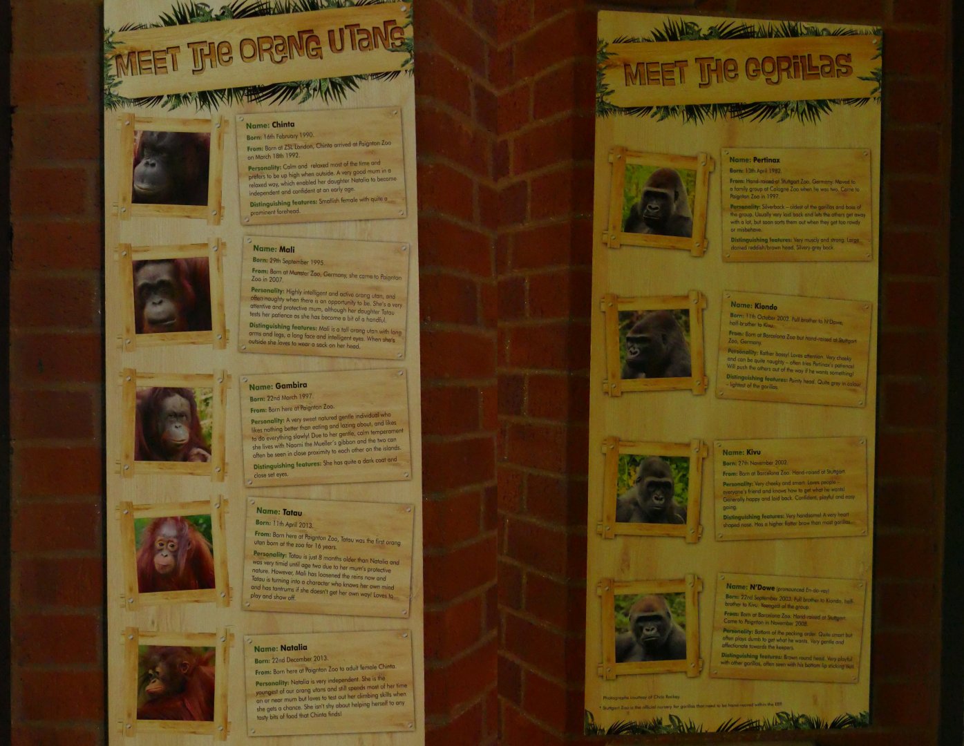 Ape House signs, February 2022