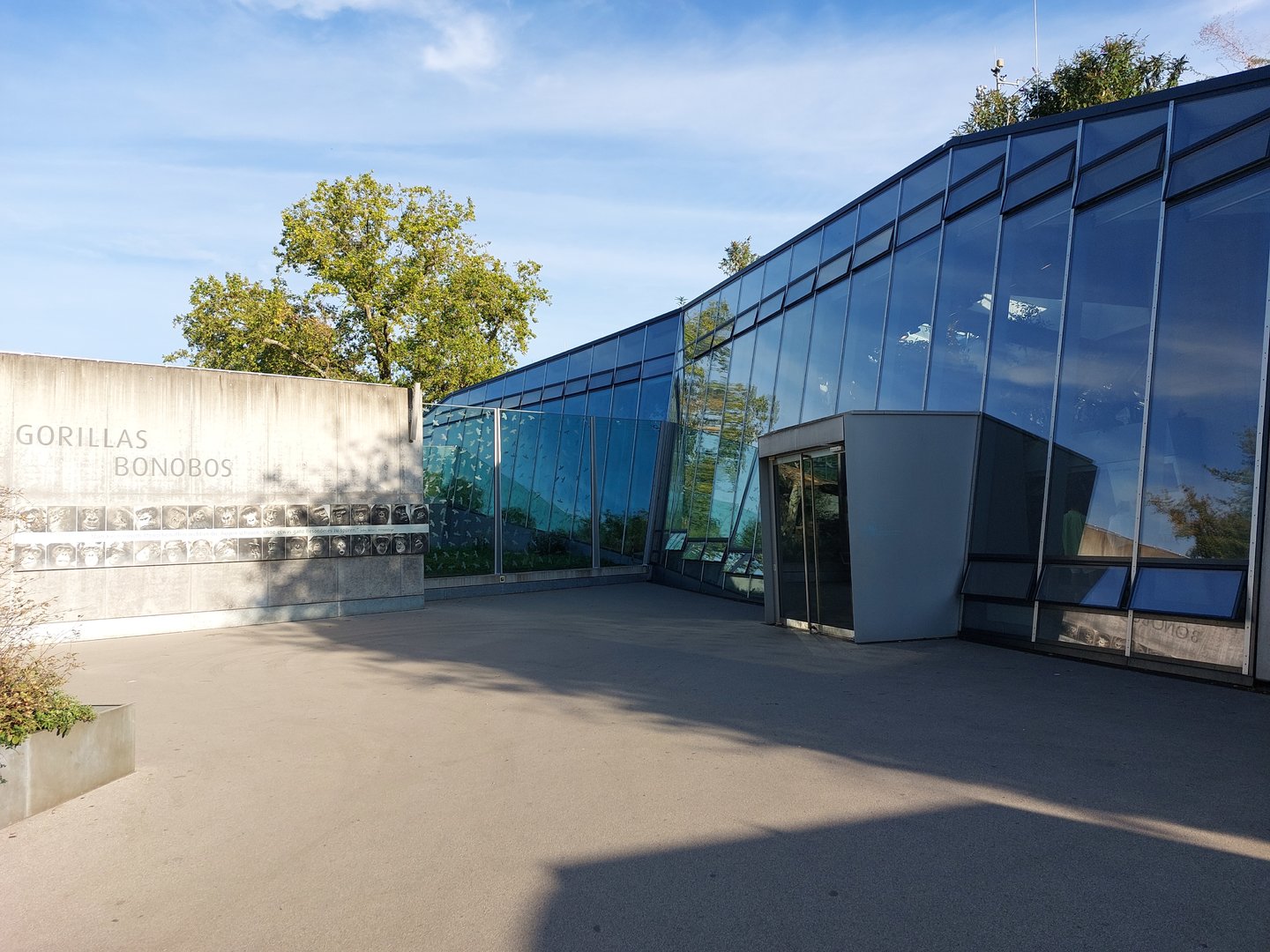 Ape house - upper entrance