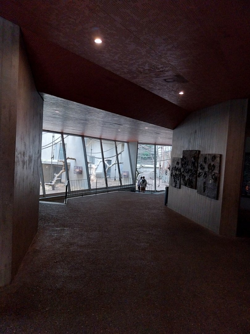 Ape house - Visitor area