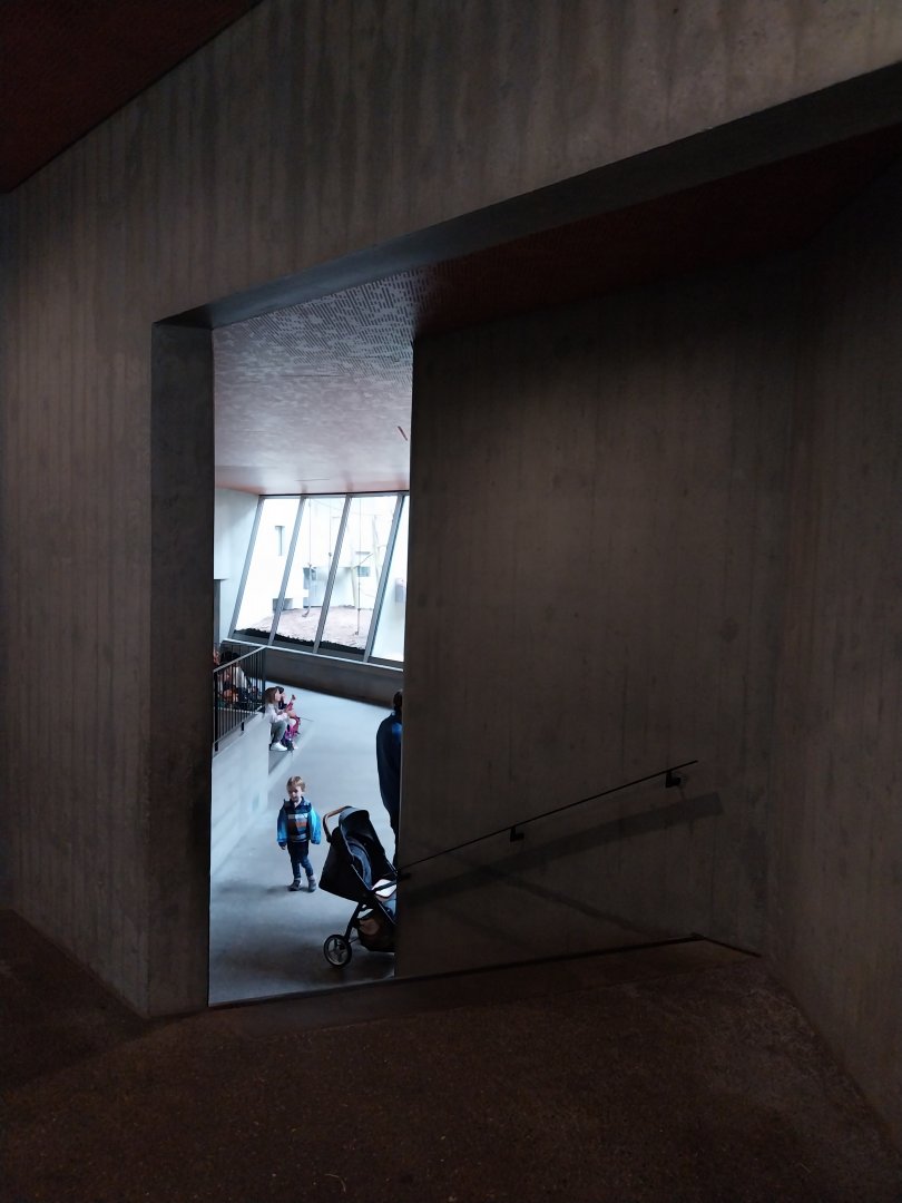 Ape house - Visitor area