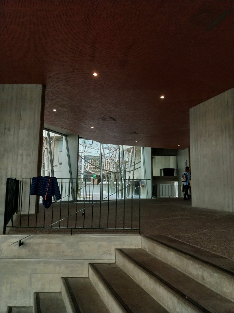 Ape house - Visitor area