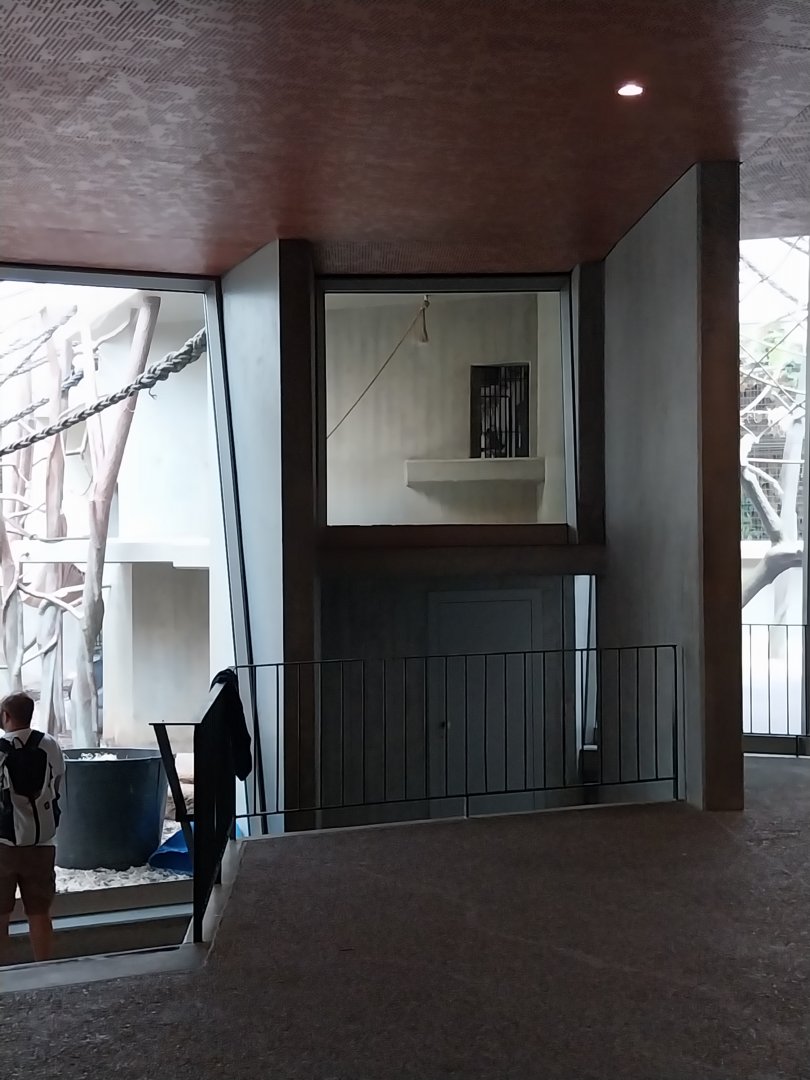 Ape house - Western lowland gorilla - Sluice system