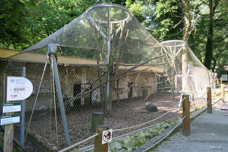 Ape House with Mexican spider monkees