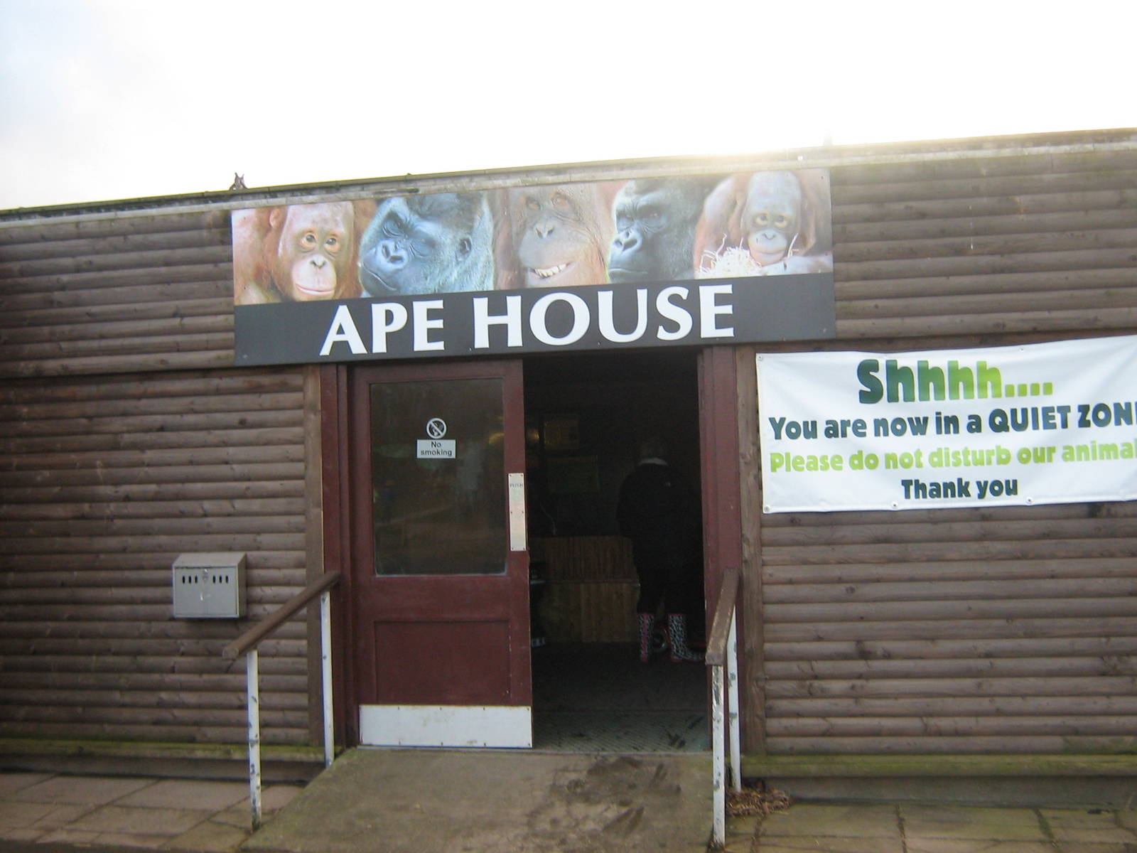 Ape House.