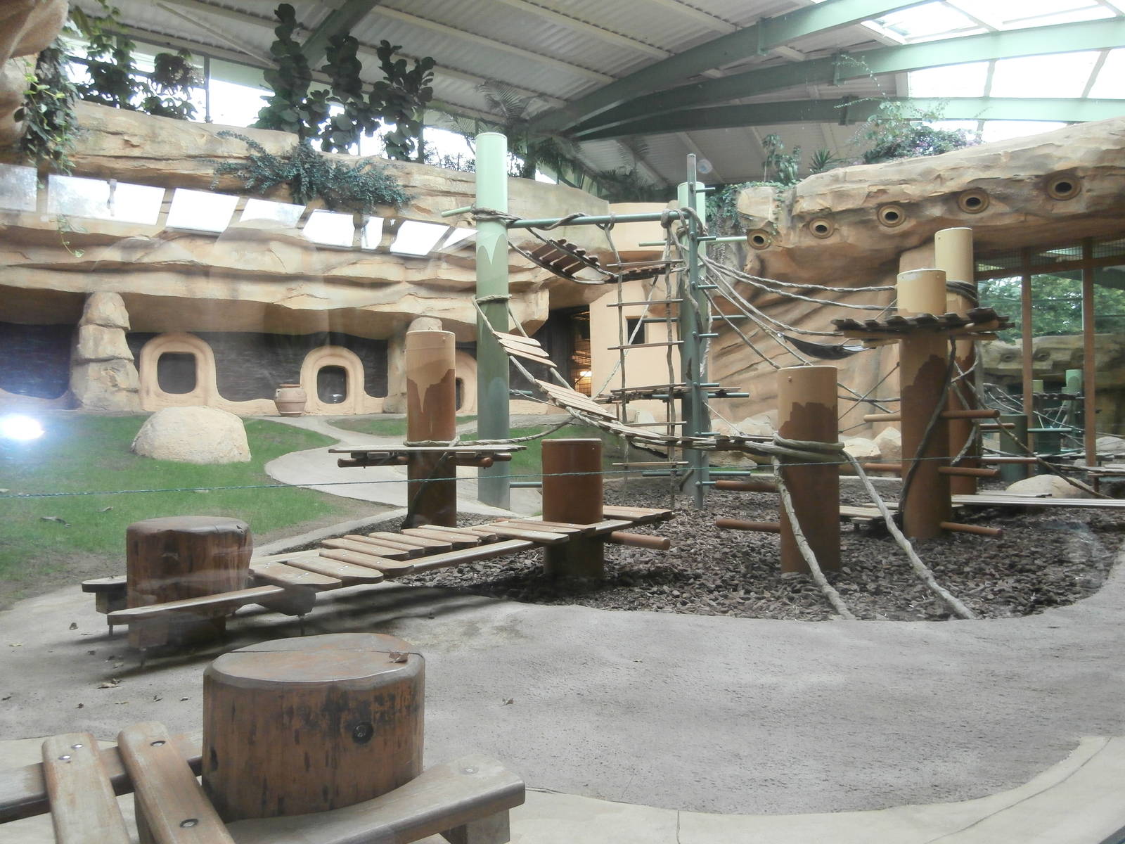 Ape indoor enclosure