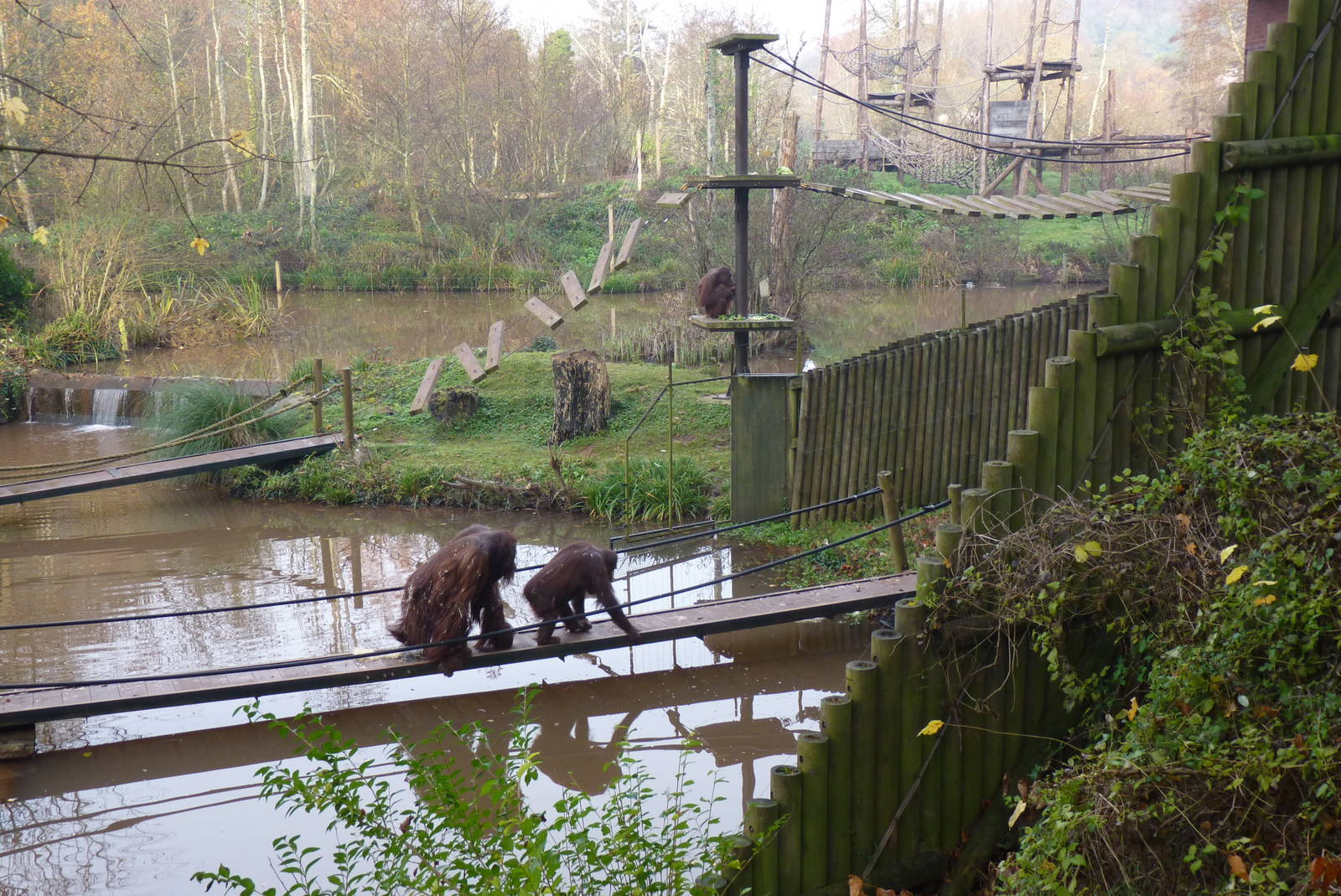 Ape Islands, 11 December 2013