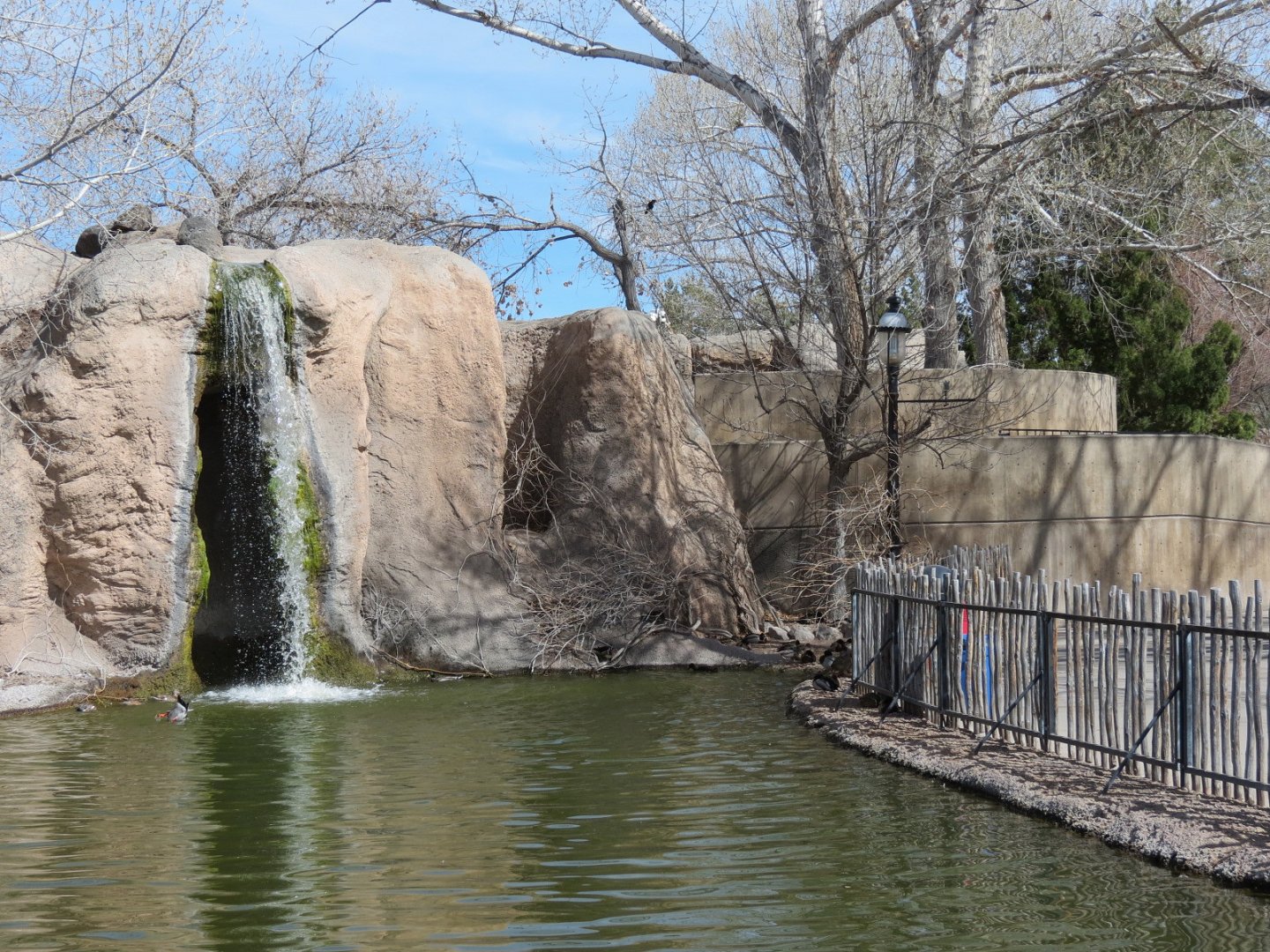Ape Walk - View from Duck Pond