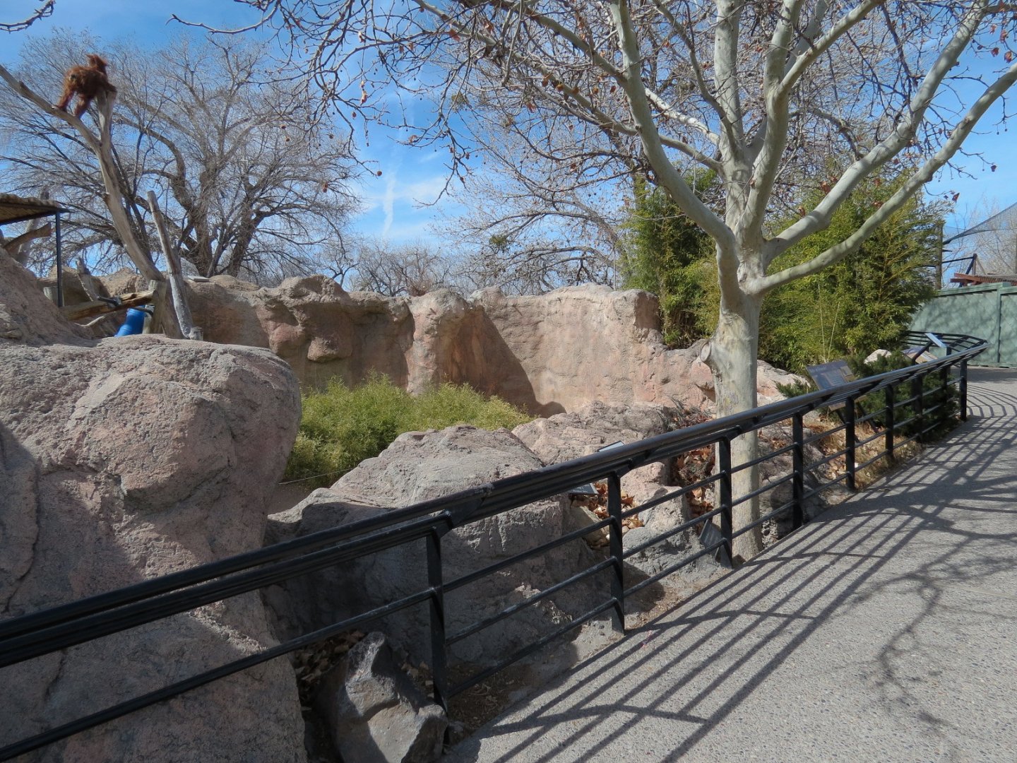 Ape Walk - Viewing Area of Orangutan Exhibit