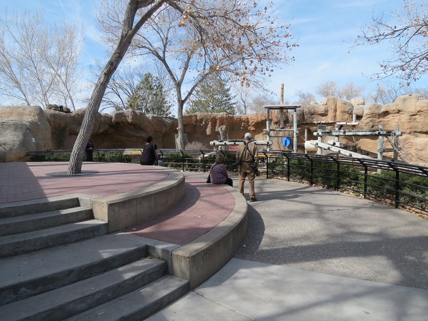 Ape Walk - Viewing Area of Western Lowland Gorilla Exhibit 1