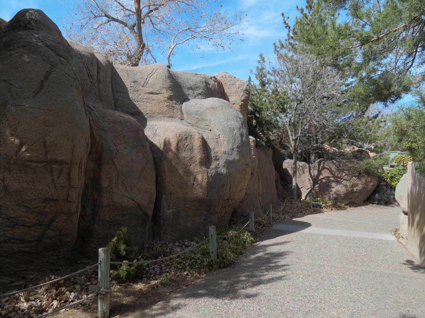 Ape Walk - Visitor Path