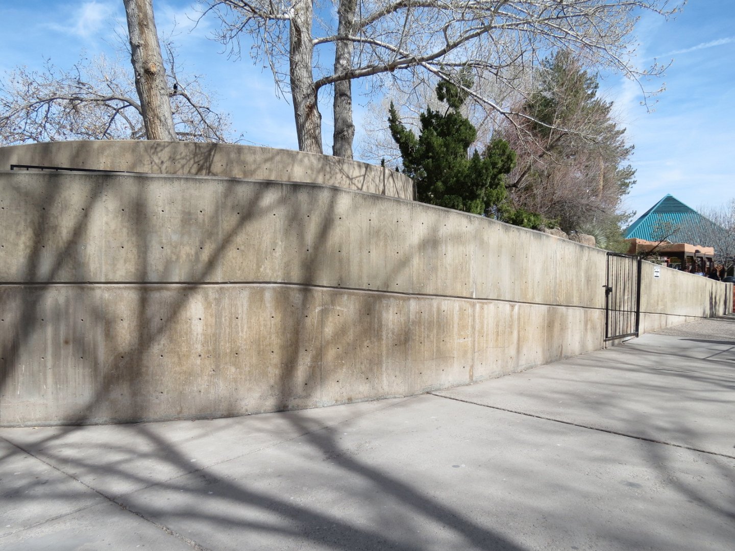 Ape Walk - Visitor Ramp