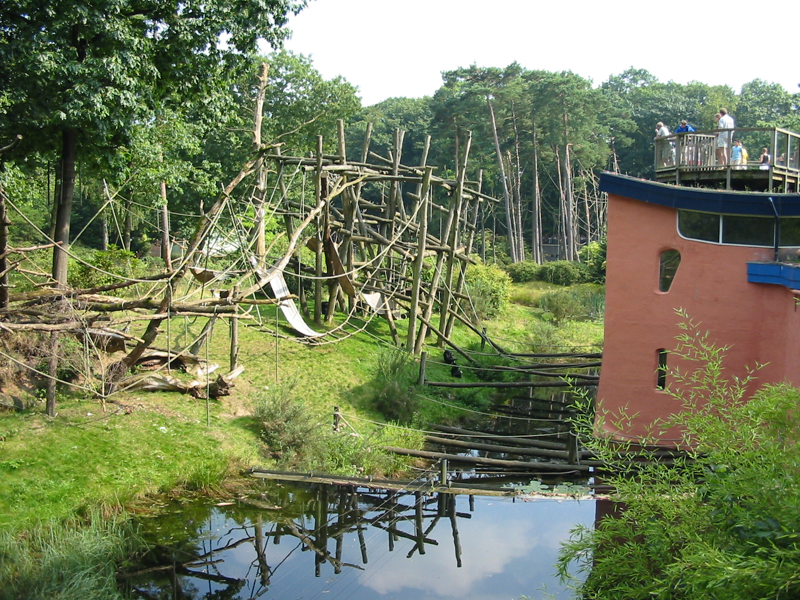 Apenheul 2004 - Bonobo exhibit and viewing deck