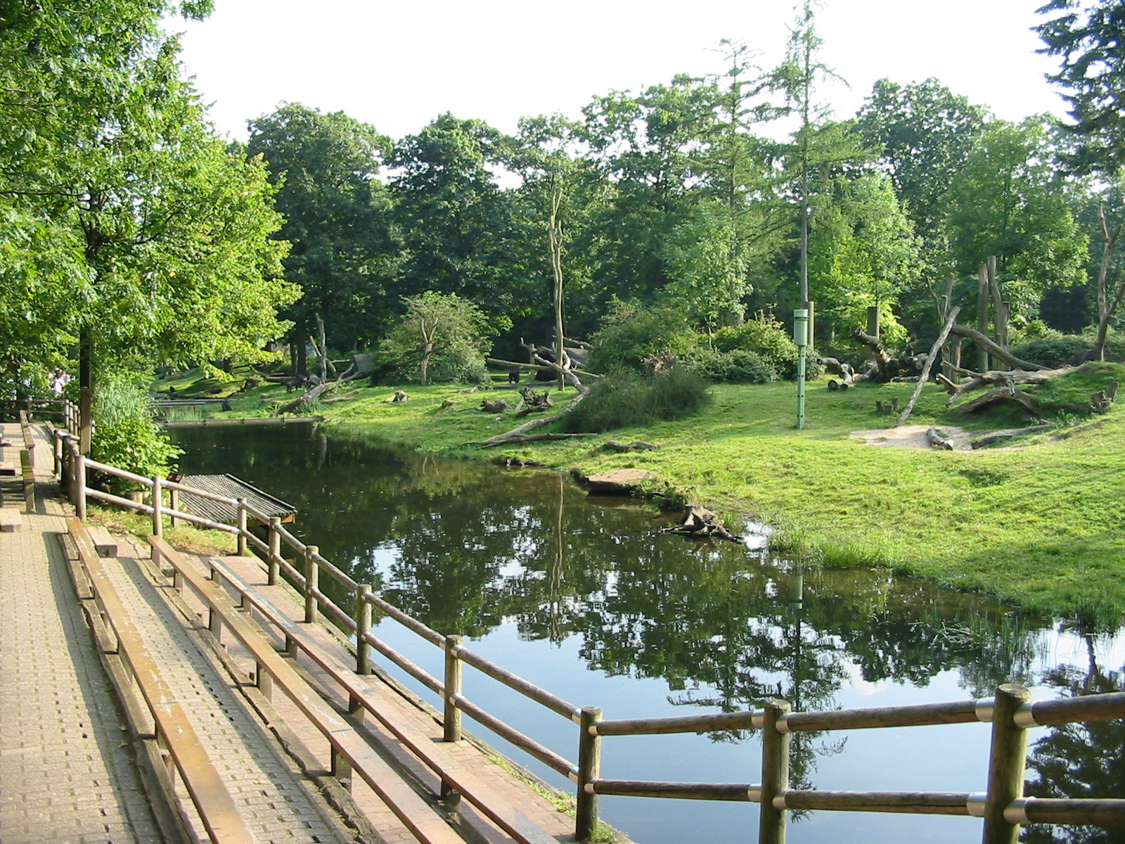 Apenheul 2004 - One of the best gorilla exhibits in the world