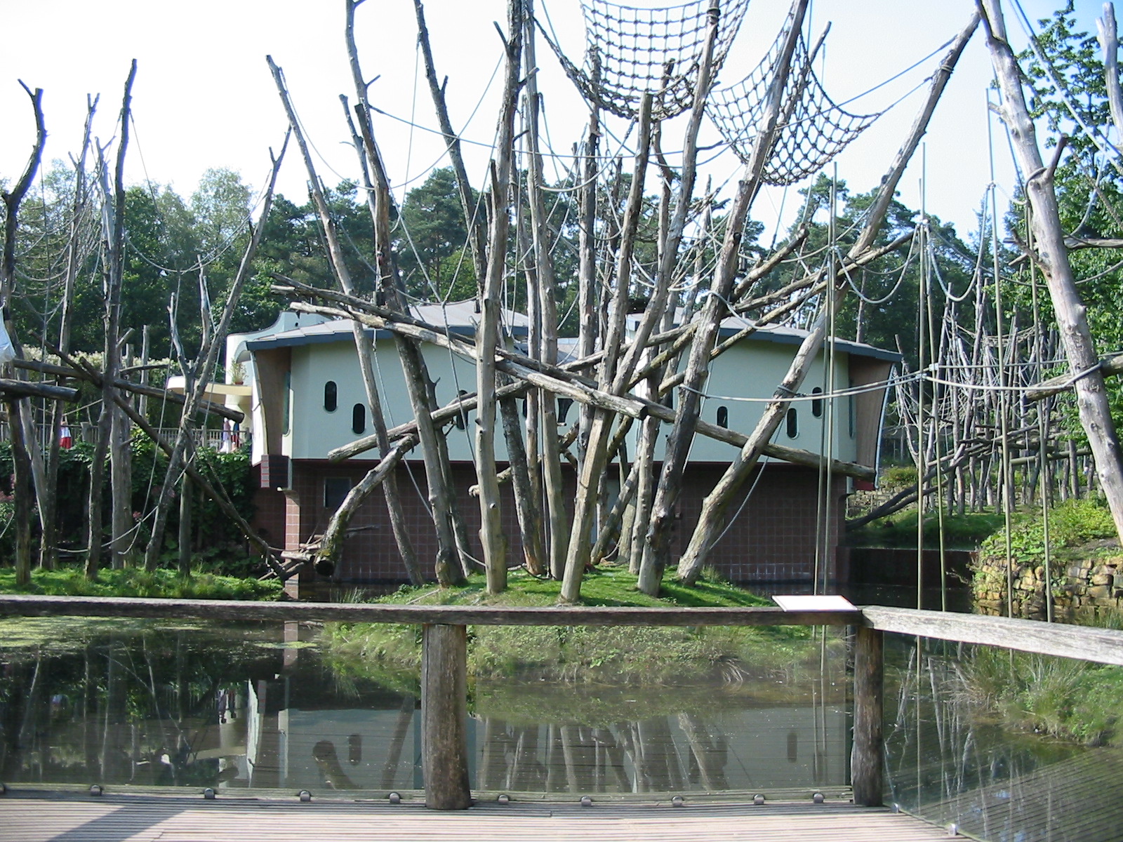 Apenheul 2004 - Orangutan exhibit