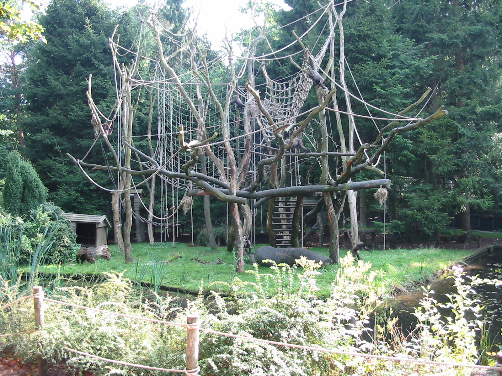 Apenheul 2004 - Wolly Monkey Island