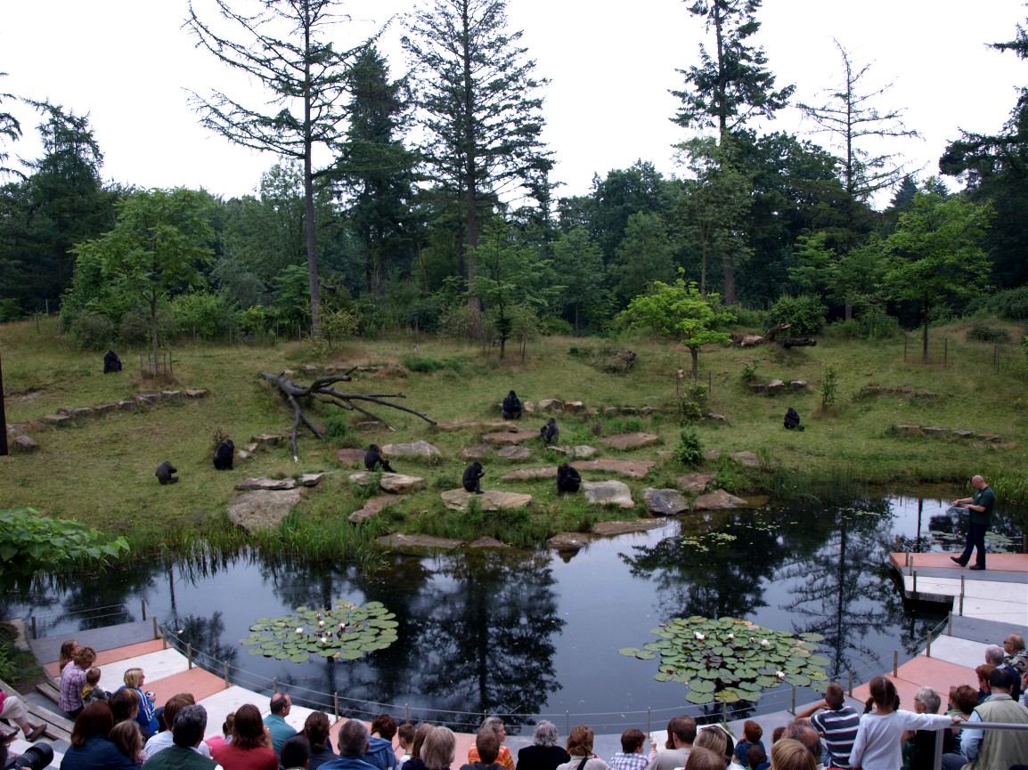 Apenheul - Amphiteatre