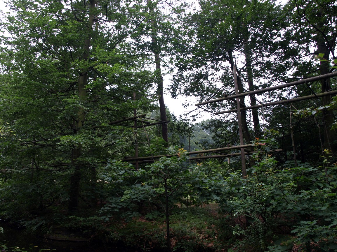 Apenheul - Gibbon island