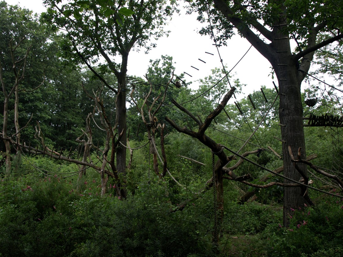 Apenheul - Howler monkey island